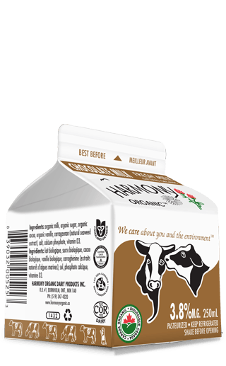 Organic Chocolate Milk 250ml Carton